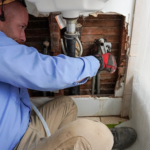 Plumber Kings