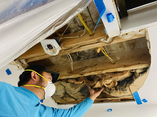 Dr. Leaks – Leak Detection & Mold Remediation Philadelphia
