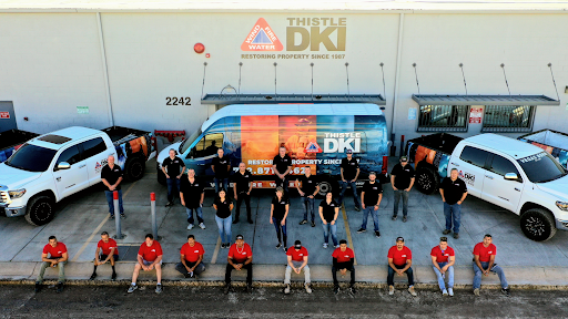 Thistle DKI