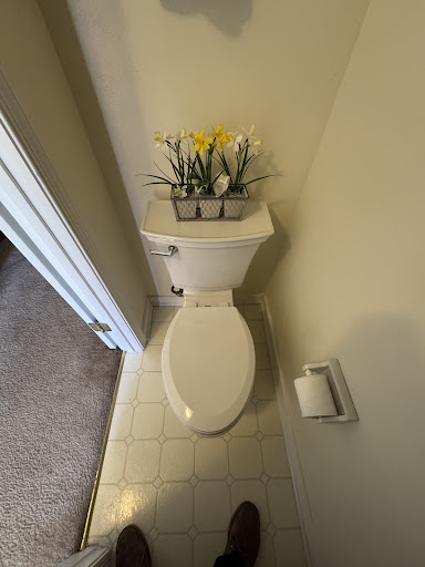 BigLion Plumbing Services LLC.